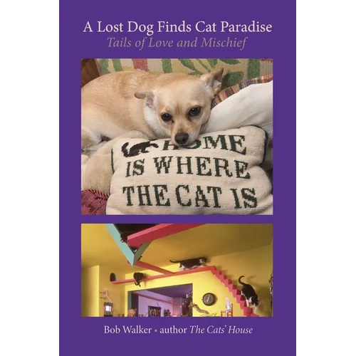 A Lost Dog Finds Cat Paradise