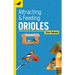 Attracting & Feeding Orioles