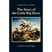 The Story of the Little Big Horn: Custer's Last Fight