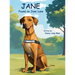 Jane Found on Jane Lane