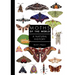 Moths of the World: A Natural History
