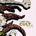 I Hrt the Cult Years