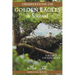 Observations of Golden Eagles in Scotland: A Historical & Ecological Review