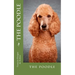 The poodle: the poodle