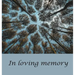 Funeral Guest Book (Hardcover): memory book, comments book, condolence book for funeral, remembrance, celebration of life, in loving memory funeral gu
