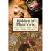 Hidden in Plain View: Recognizing the Obvious-Exploiting the Obscure in Fly Fishing