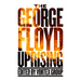 The George Floyd Uprising