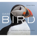 Dare to Bird: Exploring the Joy and Healing Power of Birds