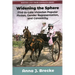 Widening the Sphere: Mid-To-Late Victorian Popular Fiction, Gender Representation, and Canonicity