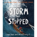 The Storm That Stopped Storybook: A True Story about Who Jesus Really Is
