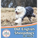 Old English Sheepdogs at Work