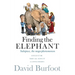 Finding the Elephant: Subspace, the Mega-phenomenon