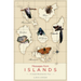Messages from Islands: A Global Biodiversity Tour