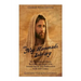 The Nag Hammadi Library: The History and Legacy of the Ancient Gnostic Texts Rediscovered in the 20th Century