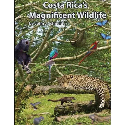 Costa Rica's Magnificent Wildlife