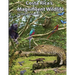 Costa Rica's Magnificent Wildlife