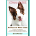 Animal Life After Death & Animal Reincarnation: Pet Loss Answers for all your heart's Questions!