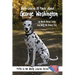 Molly Learns 10 Facts about George Washington