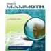 Math Mammoth Grade 6 Skills Review Workbook Answer Key