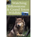 Watching Yellowstone & Grand Teton Wildlife