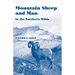 Mountain Sheep and Man in the Northern Wilds