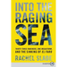 Into the Raging Sea: Thirty-Three Mariners, One Megastorm, and the Sinking of El Faro