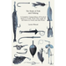 The Book of Fish and Fishing - A Complete Compendium of Practical Advice to Guide Those Who Angle for All Fishes in Fresh and Salt Water