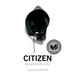 Citizen: An American Lyric