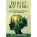 Forest Bathing: Mindful Meditation Connecting You to Nature and Eco-Consciousness Through the Practice of Shinrin-Yoku