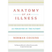 Anatomy of an Illness: As Perceived by the Patient