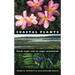 Coastal Plants from Cape Cod to Cape Canaveral