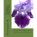 Daylilies and Irises: Growing and Caring for 2 Easy-To-Grow, Colorful Perennials
