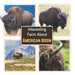 Interesting Facts about American Bison: Learn About the Bison with Picture Book for Children