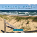 Chasing Waves