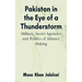 Pakistan in the Eye of a Thunderstorm: Military, Secret Agencies and Politics of Alliance Making