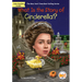 What Is the Story of Cinderella?