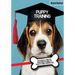 Puppy Training: An Essential Guide for Everything You Need to Know To Train A Perfect Dog.