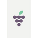 Fruits of the Vine