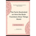 The Facts Illustrated on How the Brain Functions (How Things Work)