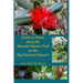 Guide to Plants along the Manuka Nature Trail: Big Island of Hawai'i