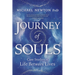 Journey of Souls: Case Studies of Life Between Lives