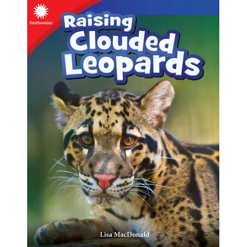 Raising Clouded Leopards