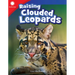 Raising Clouded Leopards