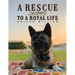 A Rescue Journey to a Royal Life