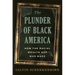 The Plunder of Black America: How the Racial Wealth Gap Was Made