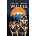 Understanding Wolves: A Guide to Behavior and Social Structure