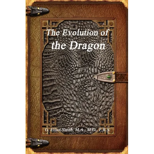 The Evolution of the Dragon