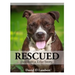 Rescued: Based on a True Dog Story