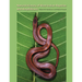 Natural History of West Indian Reptiles and Amphibians