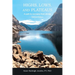 Highs, Lows, and Plateaus: A path to recovery from stroke